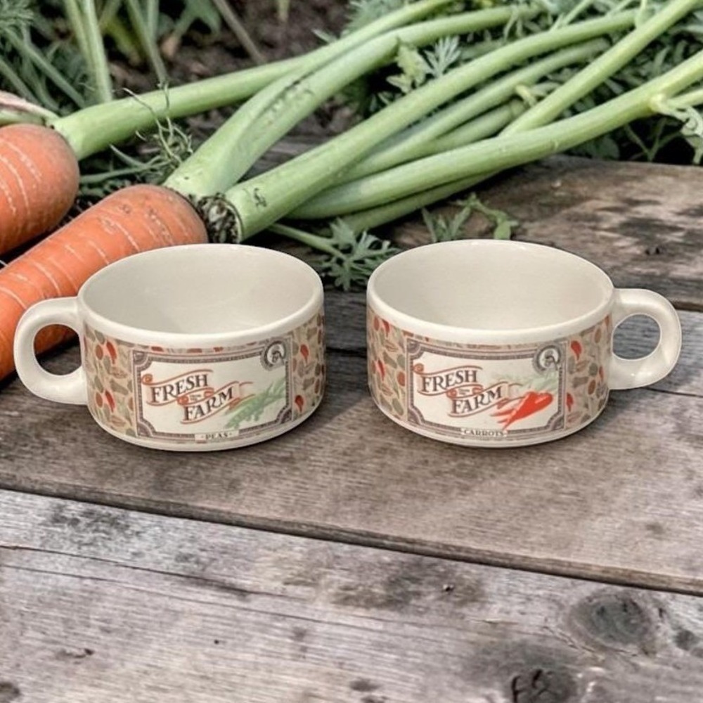 Houston Foods Fresh From the Farm Soup Cups,‎ Set of 2, Vintage Vegetable Design